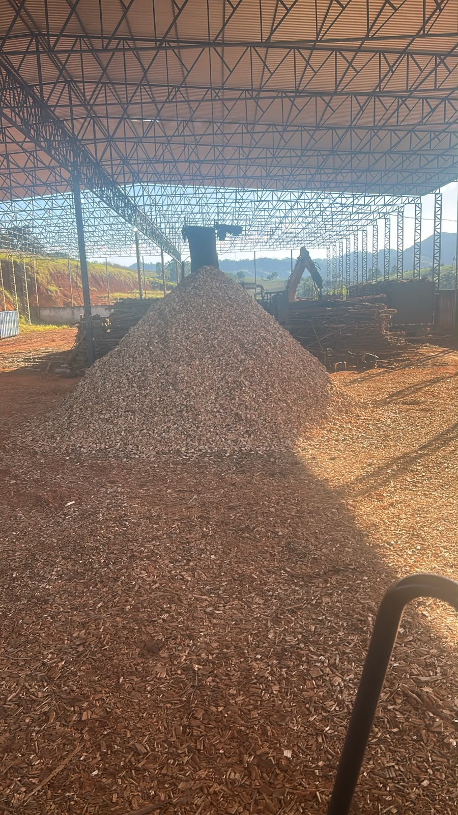 Cavaco Biomassa de Pinus Sul de Minas
